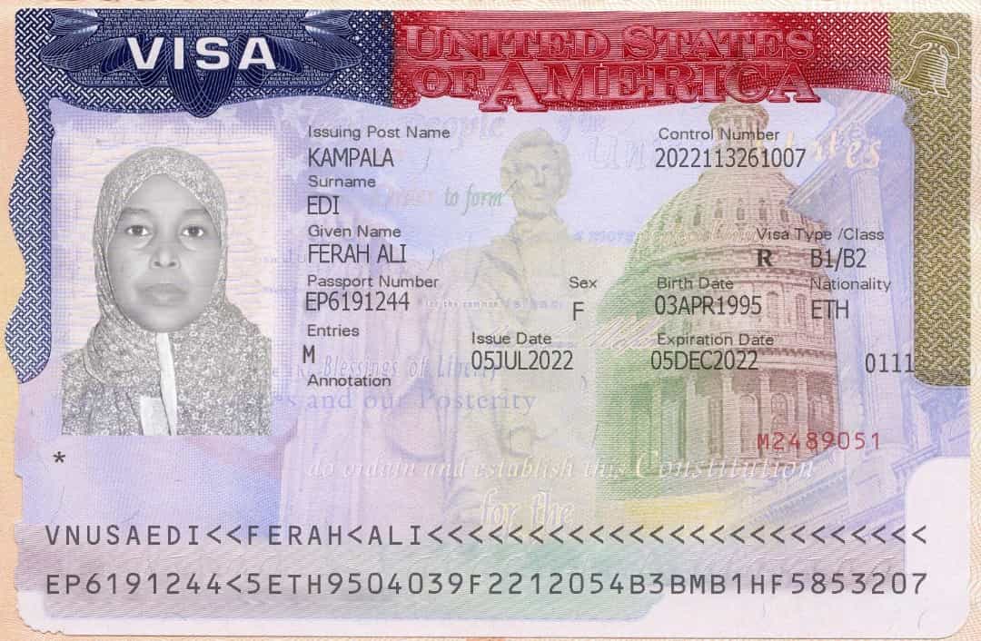 Legal documentation and green card